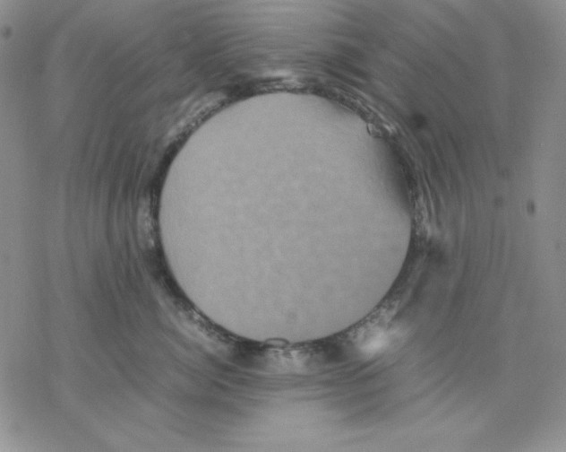 X0000077290764200611171627