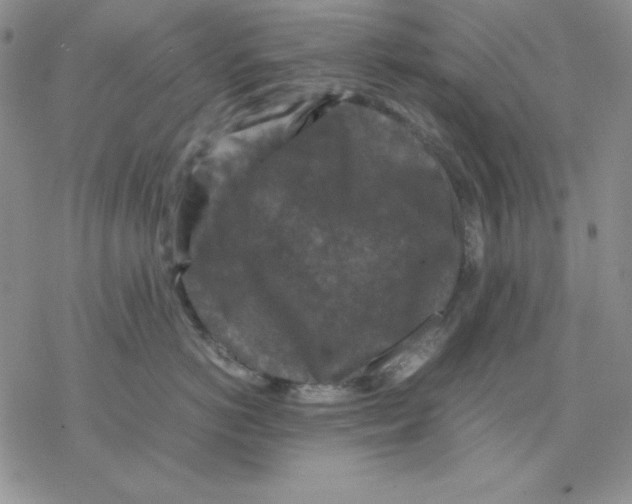 X0000077290766200611171627