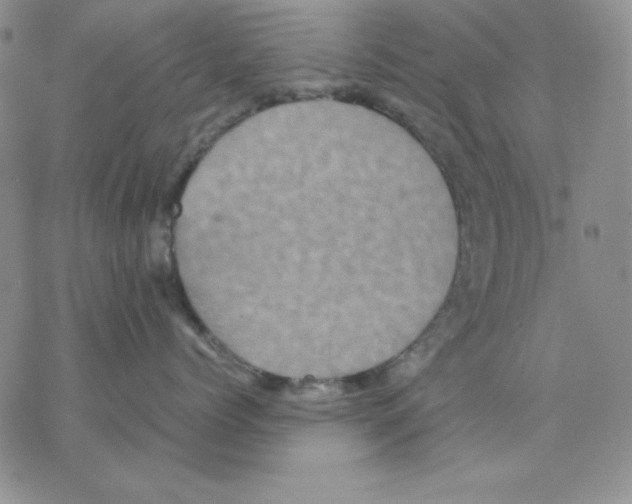 X0000077290768200611171627