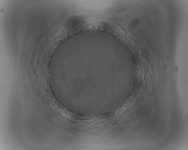 X0000077290769200611171626