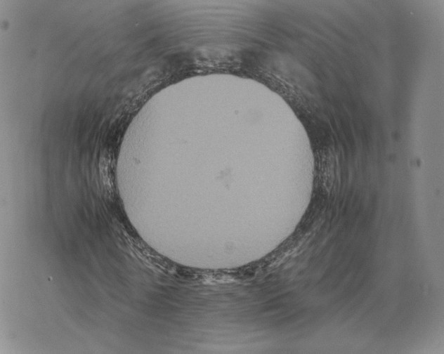 X0000077290770200611171626