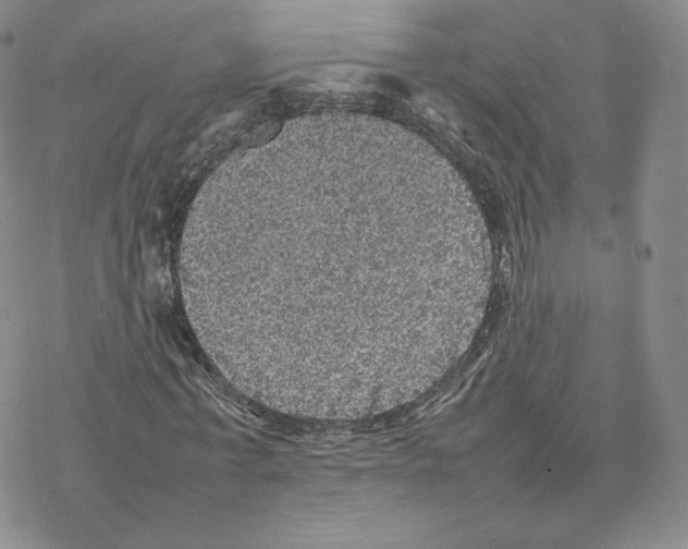 X0000077290771200611171626