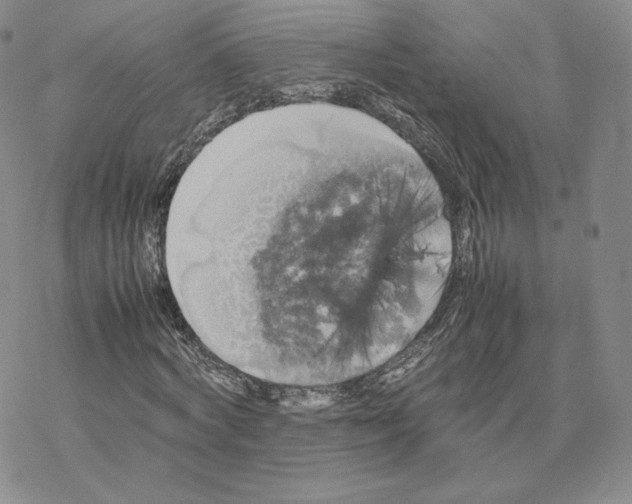 X0000077290772200611171626