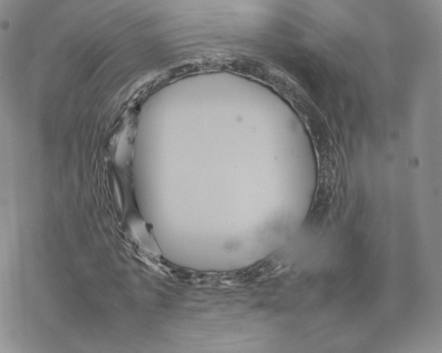 X0000077290773200611171626