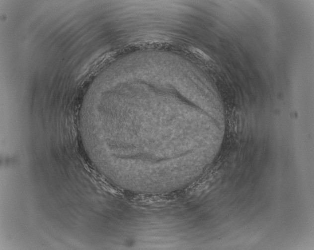 X0000077290774200611171626