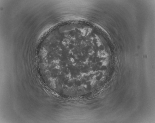 X0000077290775200611171626