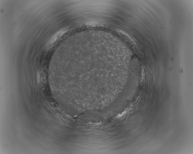 X0000077290776200611171626