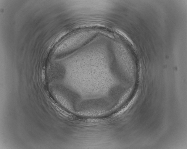 X0000077290777200611171626