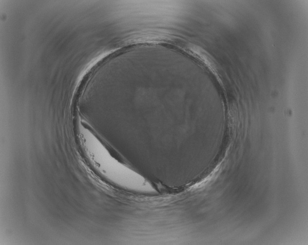 X0000077290779200611171626