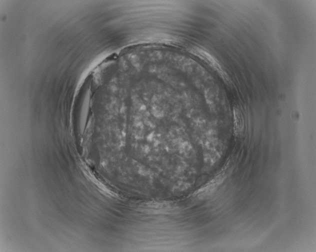 X0000077290780200611171626