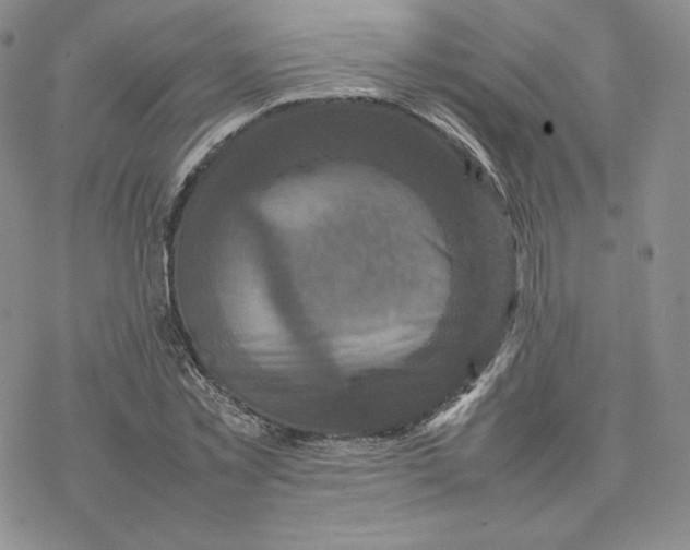 X0000077290781200611171626