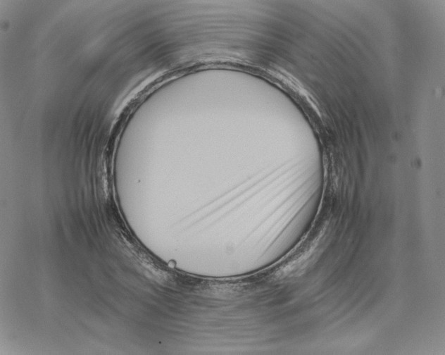 X0000077290782200611171626