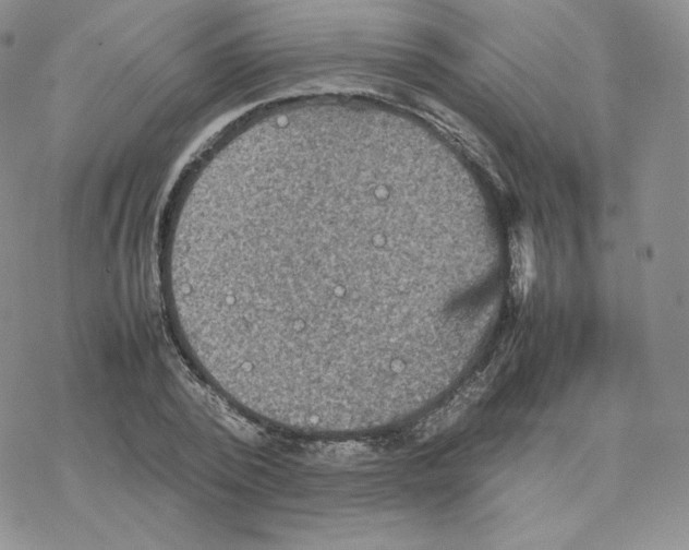 X0000077290784200611171626