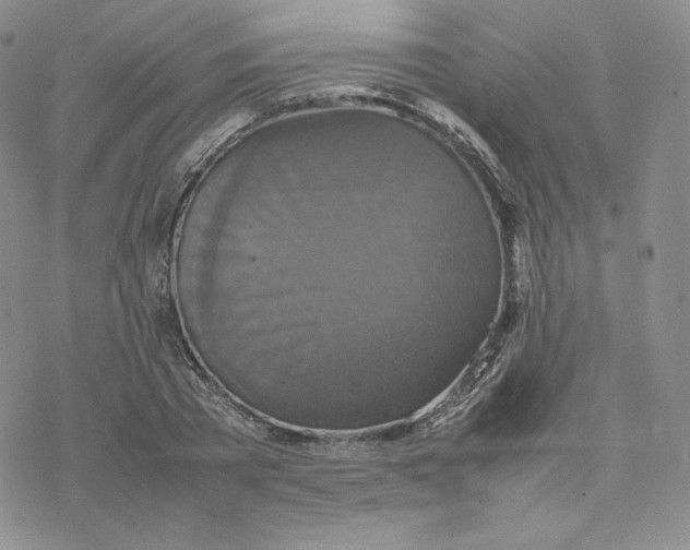 X0000077290785200611171626