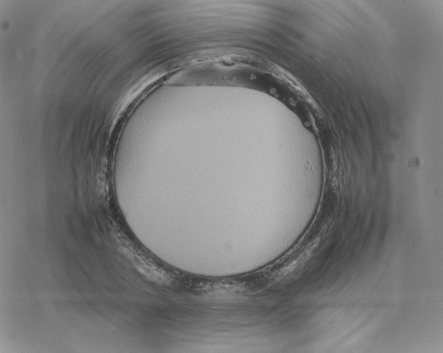 X0000077290786200611171626