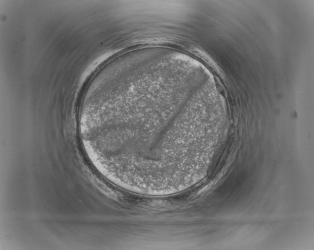 X0000077290787200611171626