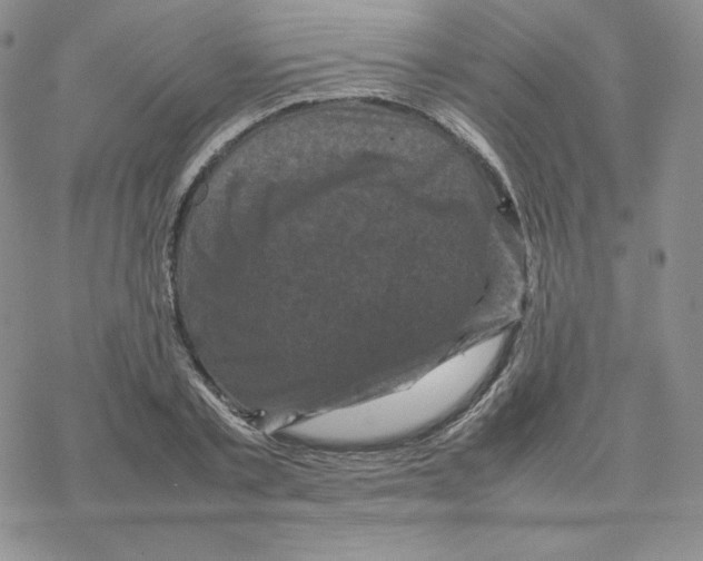 X0000077290789200611171626