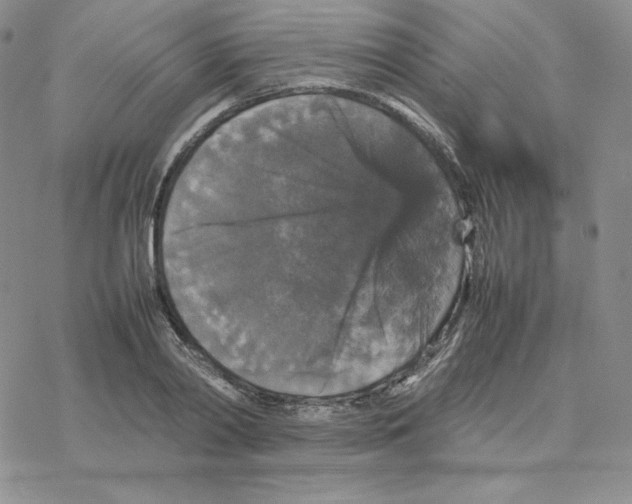 X0000077290790200611171626