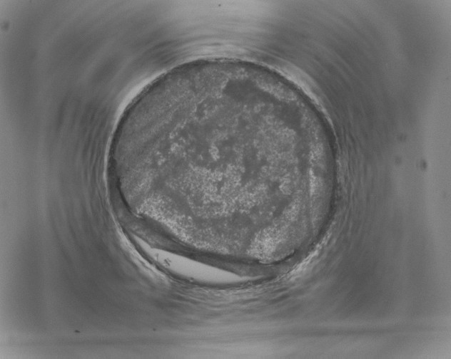 X0000077290791200611171626