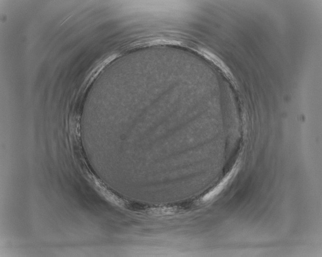 X0000077290793200611171626