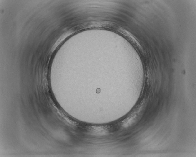 X0000077290794200611171626