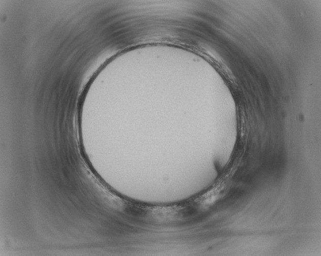 X0000077290796200611171626