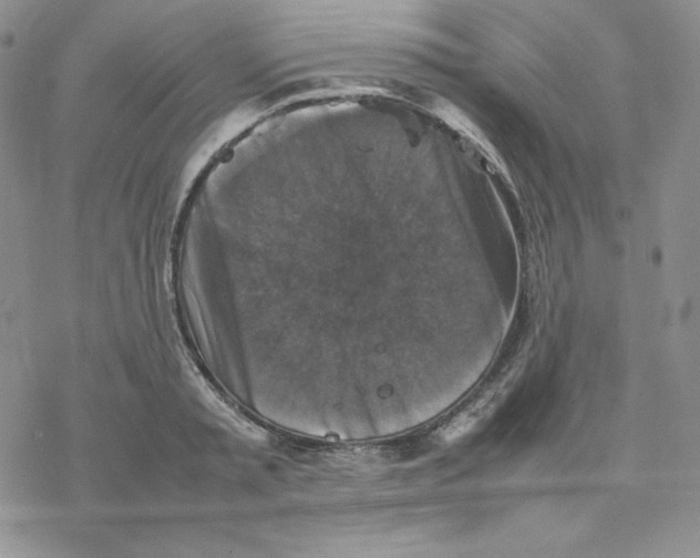 X0000077290797200611171626