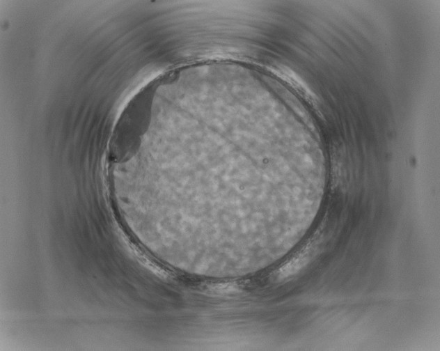 X0000077290798200611171626