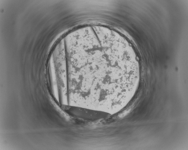 X0000077290799200611171626