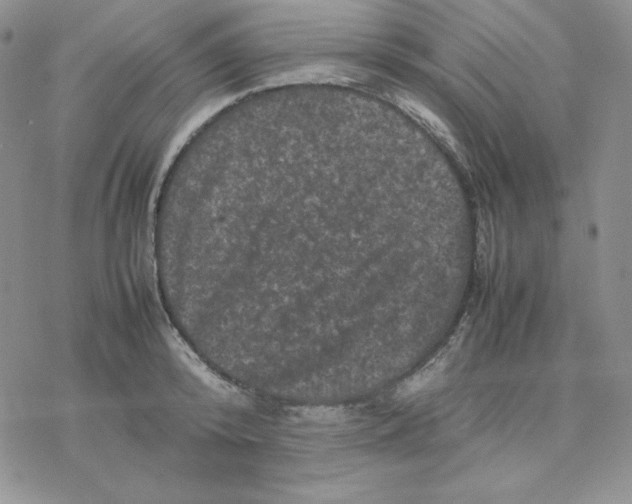 X0000077290800200611171626