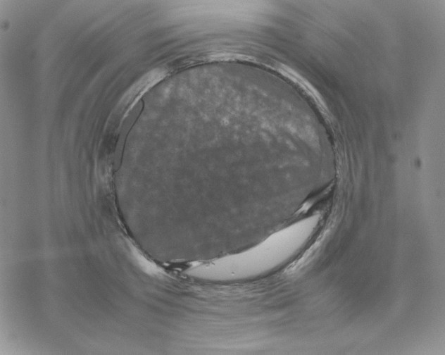 X0000077290801200611171626