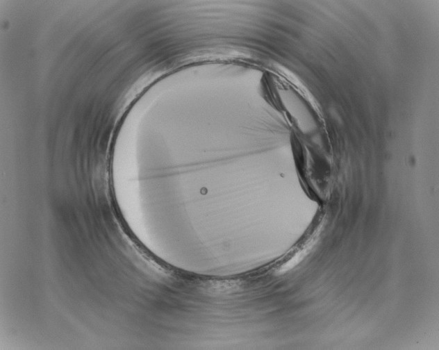 X0000077290802200611171626