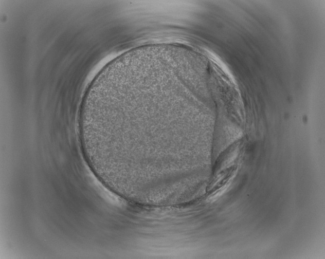 X0000077290803200611171626