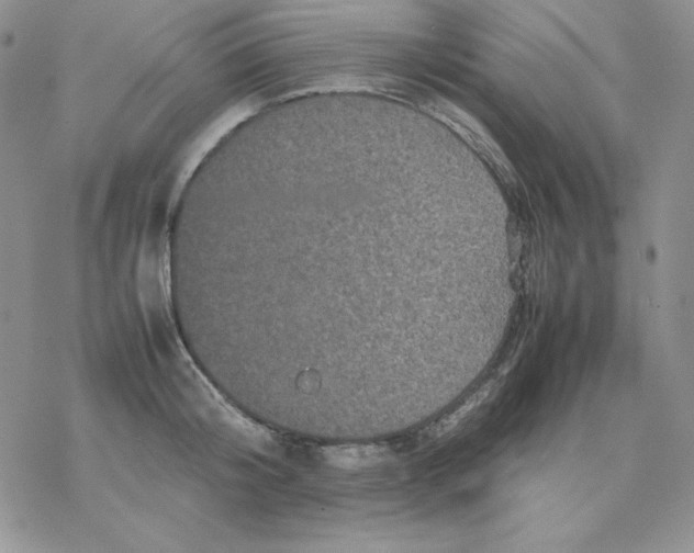 X0000077290804200611171626