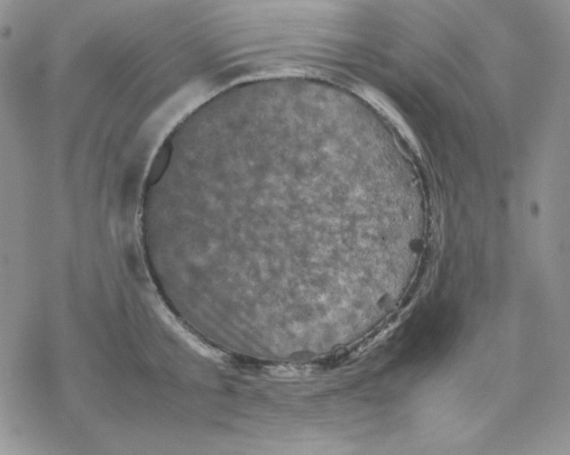 X0000077290805200611171626