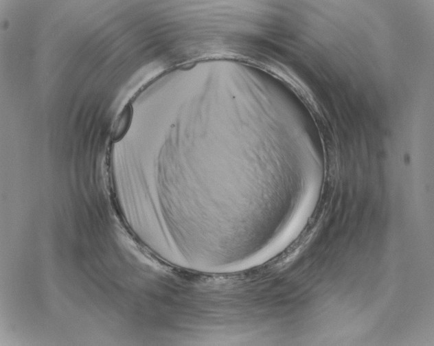 X0000077290806200611171626