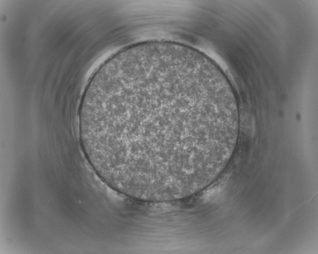 X0000077290807200611171626