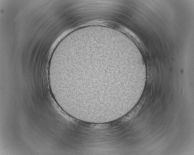 X0000077290808200611171626