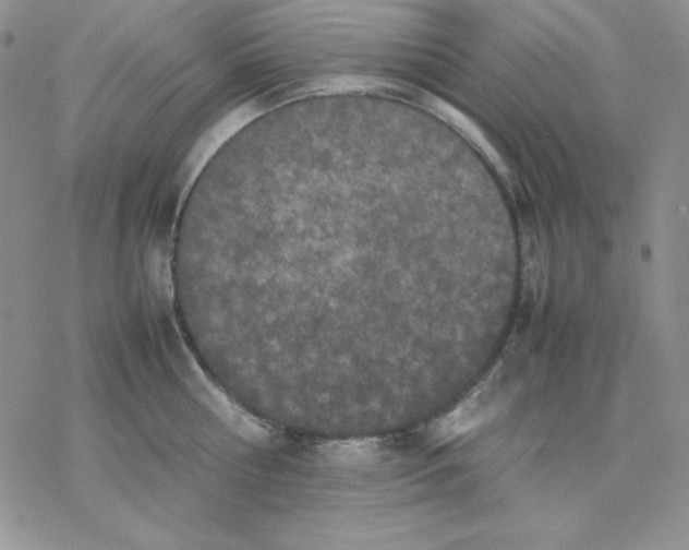 X0000077290810200611171626