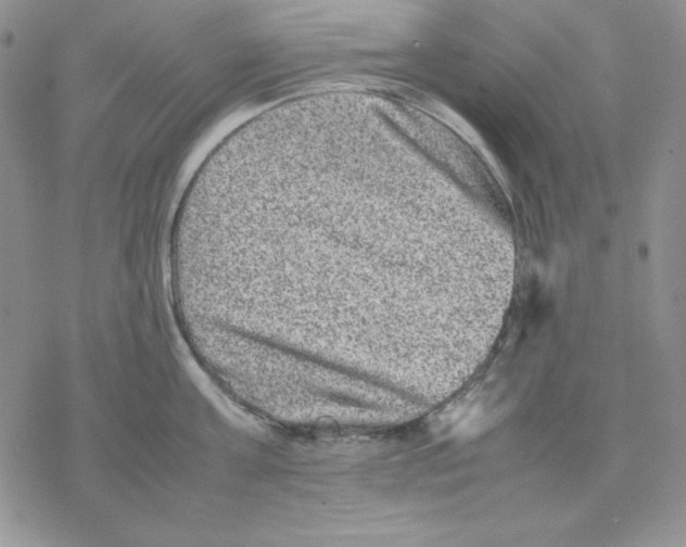 X0000077290811200611171626