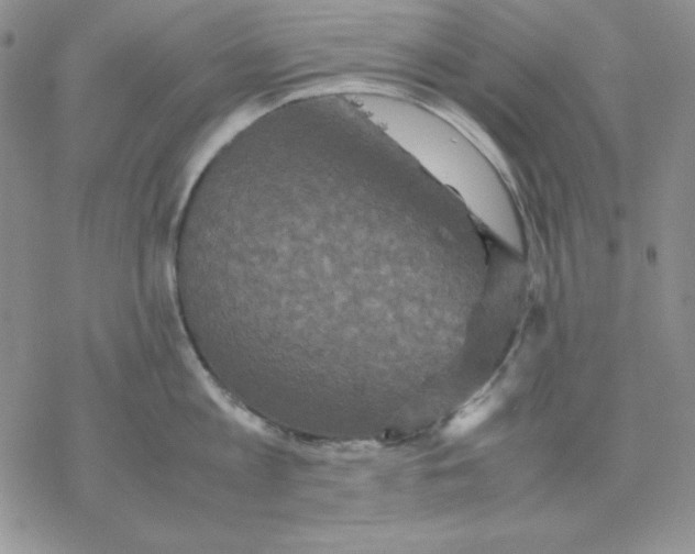 X0000077290813200611171626