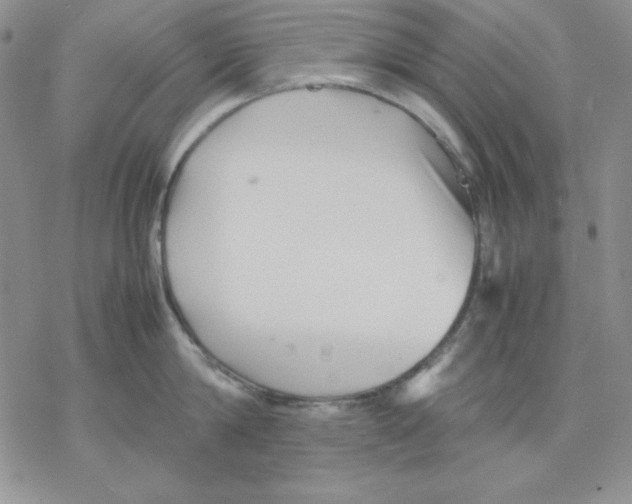 X0000077290814200611171625