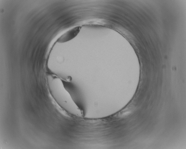 X0000077290816200611171625