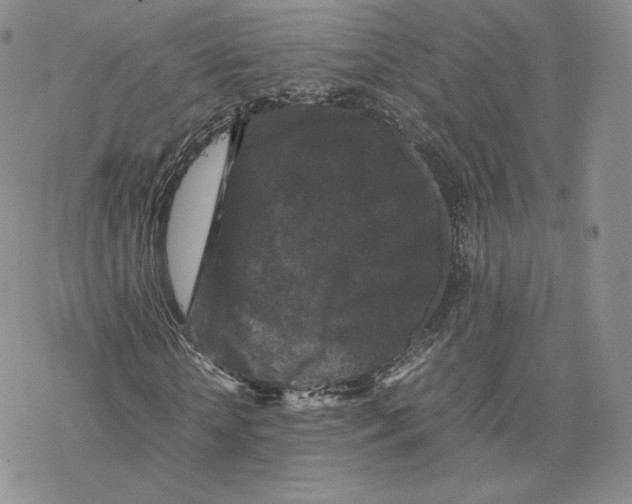 X0000077290818200611171625