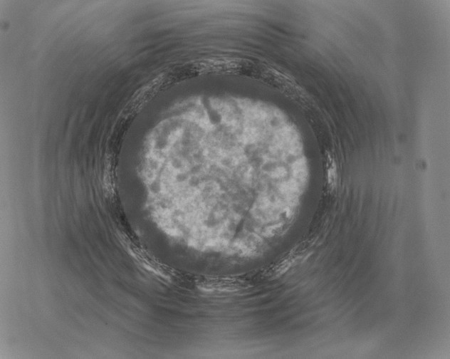 X0000077290819200611171625