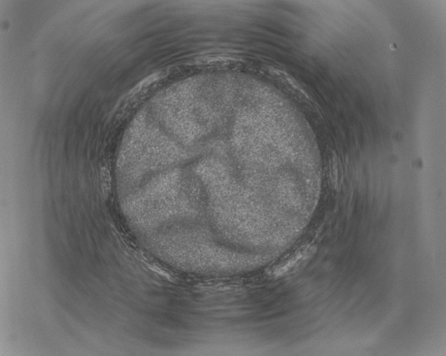 X0000077290821200611171625