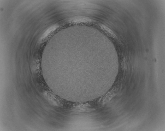 X0000077290824200611171625