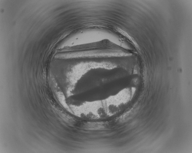 X0000077290825200611171625