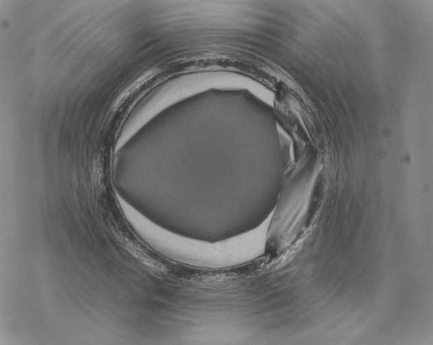 X0000077290826200611171625