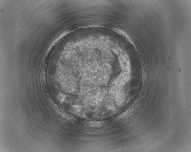 X0000077290827200611171625